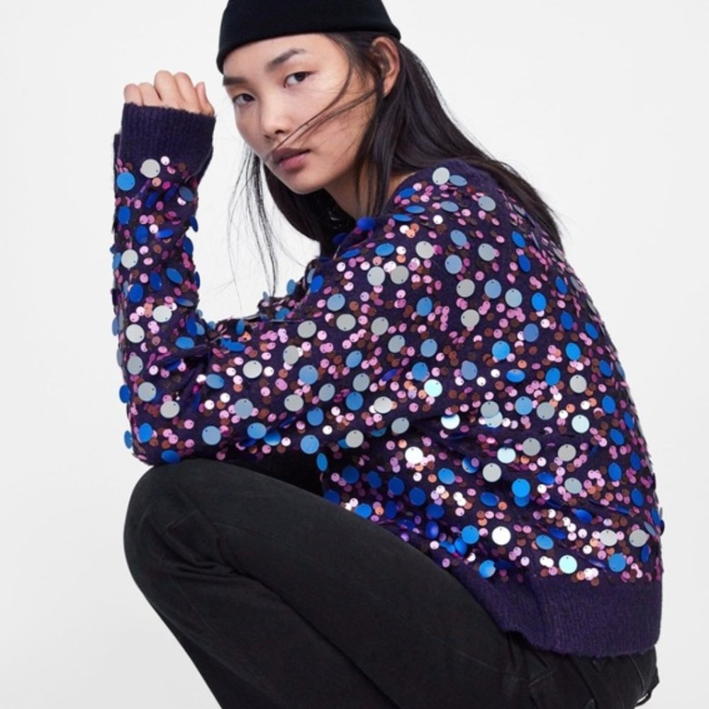 Zara sequin sweater